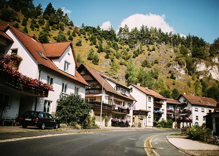 In Waldnaehe In Plankenstein