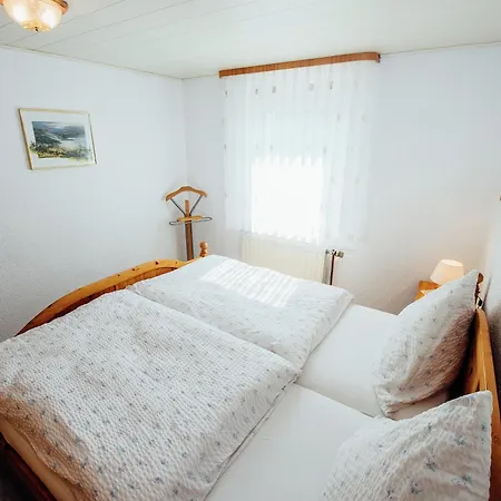 In Waldnaehe In Plankenstein Prázdninový dům Plankenfels