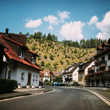 Tatil Evi In Waldnaehe In Plankenstein Plankenfels